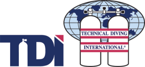TDI_Combo_0311_500w